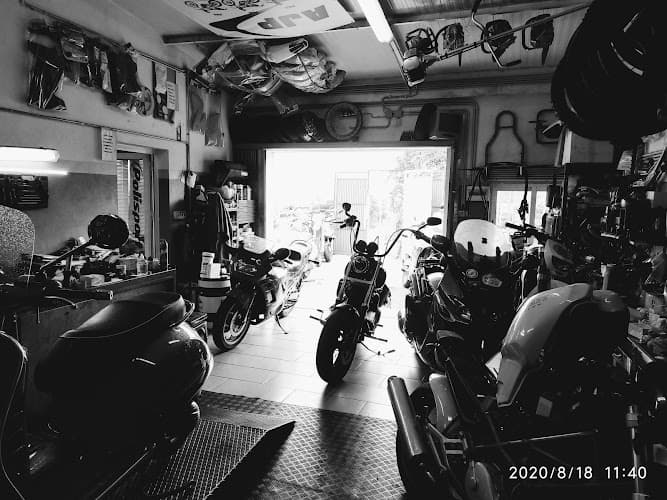 Serpins Moto